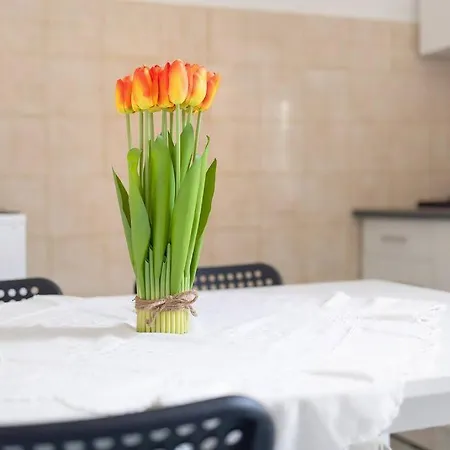 Casa Dello Zio Vincenzo Apartment Bordighera